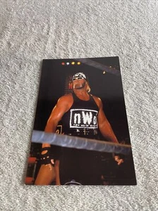 Hulk Hogan 1998 Panini WCW/NWO Superstars 4x6 PhotoCards #29 - Picture 1 of 10