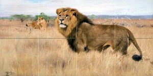 savanna africa lion W. Spielende Tile Mural Wall Backsplash Art Marble Ceramic - Picture 1 of 16