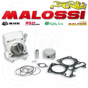 MALOSSI 3111588 GRUPPO TERMICO 175cc HONDA SH 150 CILINDRO Ø 61 MODIFICA MOTORE - Imagen 1 de 1