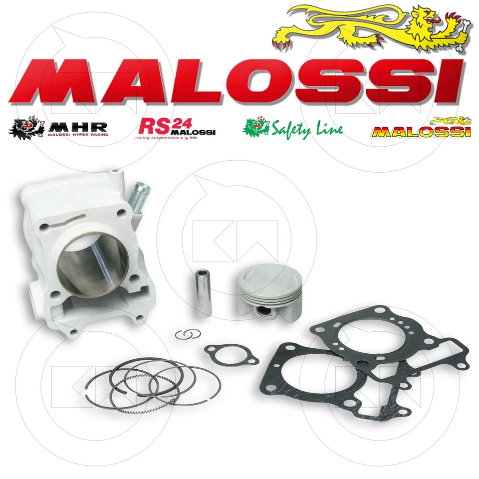 MALOSSI 3111588 GRUPPO TERMICO 175cc HONDA SH 150 CILINDRO Ø 61 MODIFICA MOTORE - Immagine 1 di 1