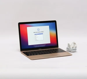 12-inch Apple Macbook "Core M" 1.1GHz 8GB RAM 256GB SSD A1534 Early 2015 25787 - Afbeelding 1 van 13