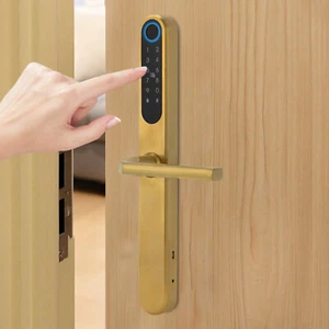 Intelligentes Fingerabdruck Türschloss Türschloss Digitales Türschloss Mit Griff - Afbeelding 1 van 18