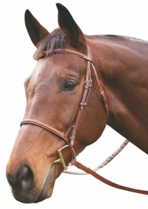 Henri de Rivel Advantage Plain Raised Snaffle Bridle with Laced Reins - Picture 1 of 5