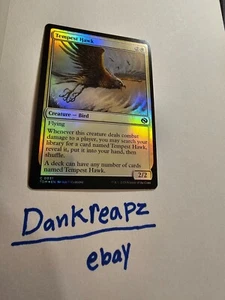 Tempest Hawk Tarkir: Dragonstorm Foil - Picture 1 of 2