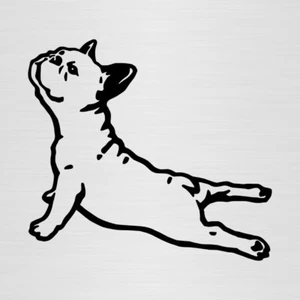 PEGATINA BULLDOG FRANCES vinilo autocollant vinyl coche adesivi perro decal auto - Bild 1 von 2