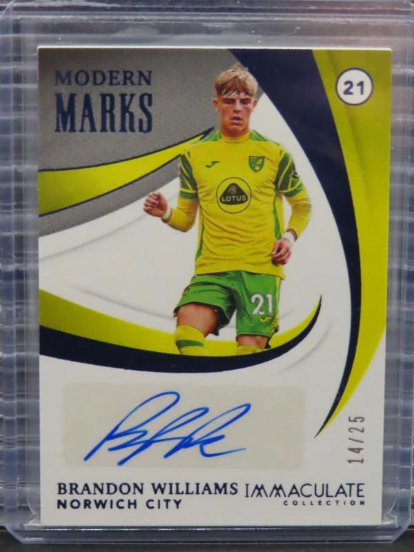 2021 Immaculate Brandon Williams Sapphire Modern Marks Autograph Auto #14/25