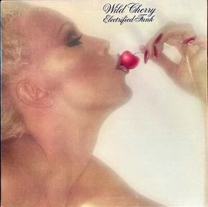 WILD CHERRY - ELECTRIFIED FUNK - LP US 1977 - GATEFOLD - EPIC PE 34462 - NM/VG+ - Foto 1 di 5