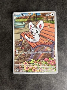 Minccino 152/086 Sv: Black Bolt Holo - Picture 1 of 2