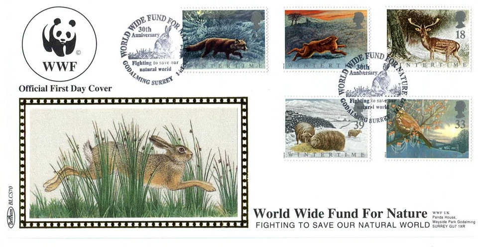 1992 Wintertime Benham Silk f.d.c. BLCS70 World Wide Fund for Nature Godalming - Image 1 of 1