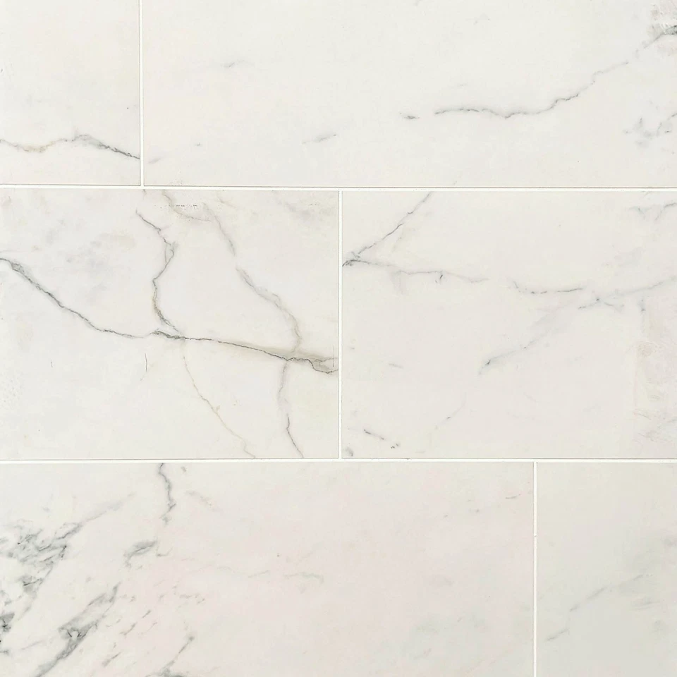 Azulejo de pared y piso de porcelana Carrara pulido 12x24 - 48 pies cuadrados Foto 1 de 1