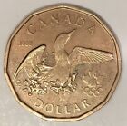 2008 Canada 1 Dollar - Elizabeth II Lucky Loonie Olympic #047 ALMOST UNCIRC