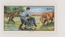 1964 Primrose Z-Cars Food Issue Bull-Fight #27 z6d