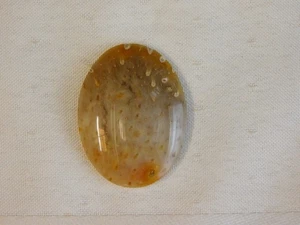 Fossil Palmenholz Cabochon - Bild 1 von 6