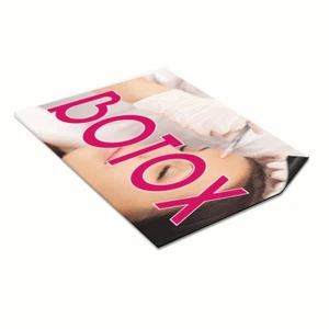 Auto Magnet 2er Set Botox Außen Werbung Druck Industrie Schild - Bild 1 von 7