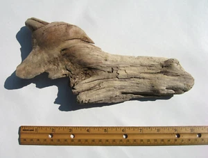 Unusual Driftwood Tree Knot Piece for Terrarium Decor Aquarium Wood Taxidermy - Picture 1 of 3