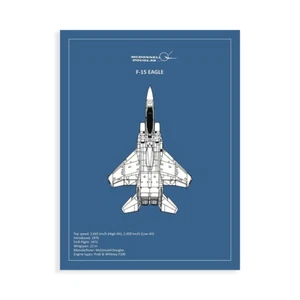 Stampa su Tela su Carta Poster o Quadro Rogan Mark BP F15 Eagle - Picture 1 of 2