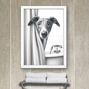 Windhund Badezimmer WC Haus laminiertes Schild, Windhundschild, Windhund x 3  - Bild 1 von 4