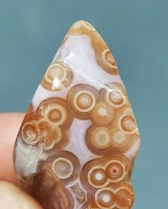 Natural Round Eye 8th Vein Ocean Jasper Agate Quartz Reiki Stone Healing - Picture 1 of 11