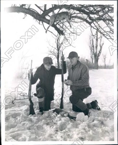 1941 Canada Giant Rabbit Hunters with Rabbit & 1 in Tree Above Press Photo - Picture 1 of 2