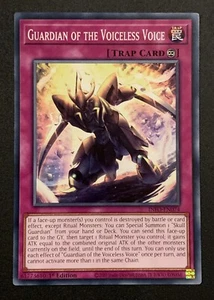 Guardian of the Voiceless Voice - INFO-EN074 - Common - Yugioh TCG - Picture 1 of 3