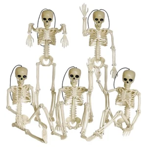 5Pcs Halloween Skeleton Decorations, 16Inch Full Body Posable Joints4315 - Picture 1 of 9