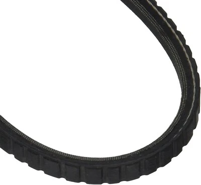 Accessory Drive Belt-VIN: S Dayco 17395 - Imagem 1 de 3