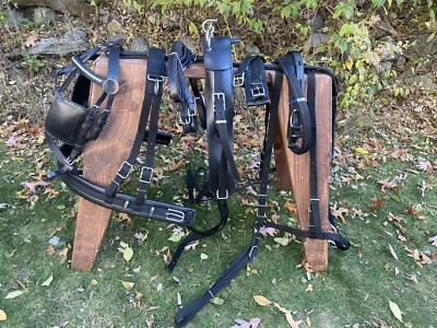 Leaders Worldwide Nylon/Leather harness For Full/Horse Size! - Image 1 of 4