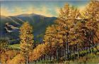 Quand l'automne peint les arbres et les collines dans des couleurs magiques Colorado CO carte postale