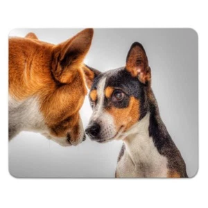 Alfombrilla de ratón "perro divertido" - 24x19cm - goma musgo - perros - perro divertido - alfombrilla de ratón - Imagen 1 de 1