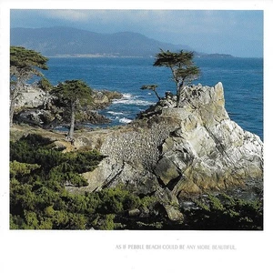 2004 LEXUS SC 430 PEBBLE BEACH EDITION sales brochure folder 04 US - Picture 1 of 1
