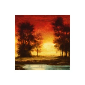 Impression Sur Toile Ou Papier Affiche Ou Cadre Thomas Neil Evening Light II - Imagen 1 de 2