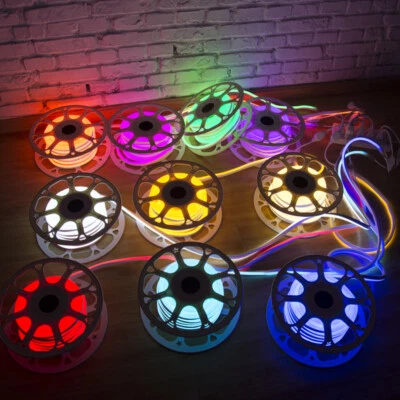 2m Flexibles DC12V Silikon führte Neonseil-Licht im Freiengeschäft Bild Machen - Bild 1 von 4