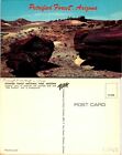 Petrified Forest AZ Logs Postcard Unused (40762)