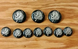 Vintage Ralph Lauren Equestrian Button Set Horse Head Logo Black Silver 10 Pc - Picture 1 of 6