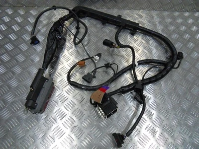 Genuine Ford Fiesta Mk7 Mk8 Engine wiring loom harness 2008 to 2023 NOS - Image 1 of 4