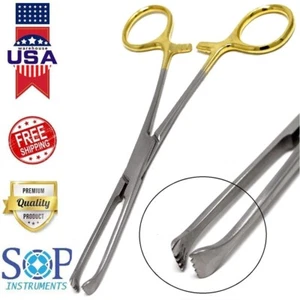 Dental Surgical Allis Tissue Forceps 6" 4x5 Teeth Gold Handle by SOP Instruments - Picture 1 of 2