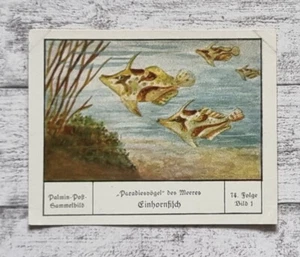 Einhornfisch Paradiesvögel Meer Palmin Sammelbild 74 Folge Vintage Werbung Deko - Bild 1 von 2