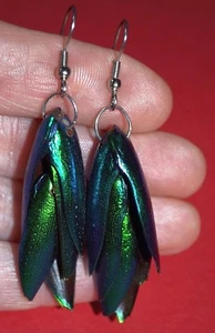 Pendientes de escarabajo joya verde metálico brillante cuelgantes exoesqueleto de alas delanteras Elytra - Imagen 1 de 2