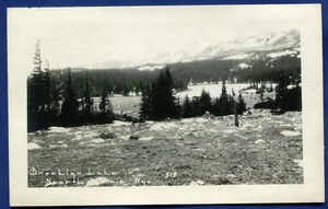 Wyoming wy Brooklyn Lake pine trees real photo postcard RPPC - Picture 1 of 2
