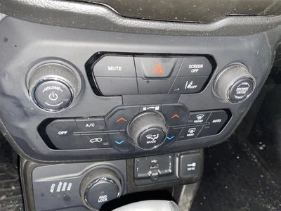 Temperature Control Panel Fits 21-22 RENEGADE 1022568 - Image 1 of 4