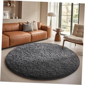 Round Rugs 5Ft Grey Circle Area Rug, Fluffy Fuzzy Bedroom Carpet, Plush Soft - Picture 1 of 7