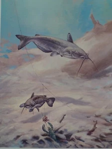 Bob Hines Channel Catfish Fishing Angling Trolling Casting Lake Streams 1972 - Picture 1 of 3