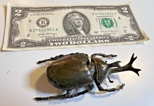 Antiker japanischer Bronze Nashorn Käfer Kabutomushi Okimono Netsuke SIGNIERT - Bild 1 von 14