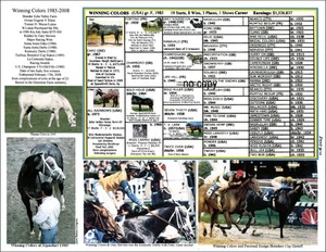 D Wayn Race Horse Kentucky Derby FILLY WINNING COLORS Picture Pedigree 8.5 X11 - Picture 1 of 1