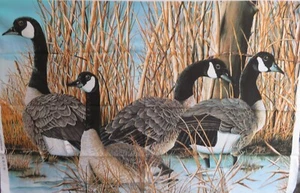 Canada Goose Panel DP 21824 Size 36 X 44 Inches Northcott Cotton Fabric - Picture 1 of 1