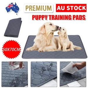 Puppy Training Pads Reusable Pet Dog Washable Indoor Bed Absorbent Quick Dry Kit - Picture 1 of 12