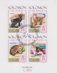 Katzen Solomon Islands gestempelt 1369 - Bild 1 von 1