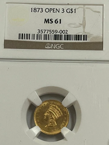 1873 $1 Dollar Gold Coin Open 3 Indian Princess Ms 61 Cover