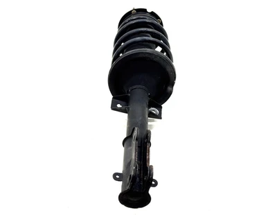 Ford Mustang 2005-2009 suspensión amortiguador puntal delantero derecho OEM 7R33-18045-AC Foto 1 de 4