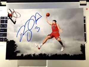 FOTO 8X12 FIRMADA POR DOUG MCDERMOTT CHICAGO BULLS SPURS NBA!!! - Imagen 1 de 1
